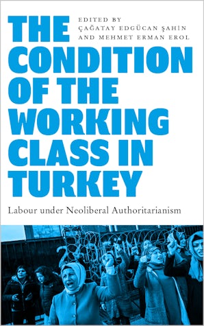 The Condition of the Working Class in Turkey