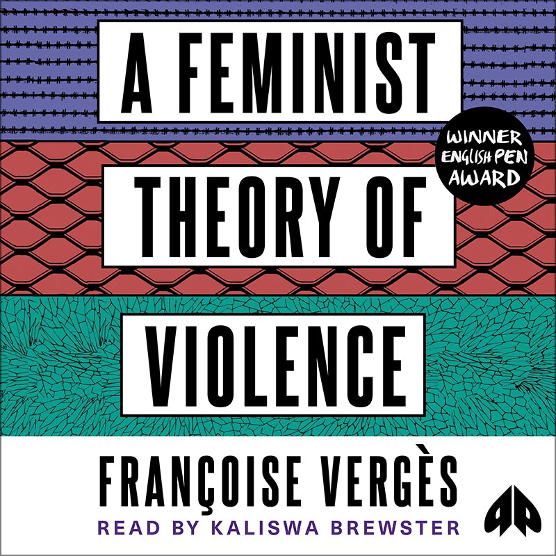 A Feminist Theory of Violence